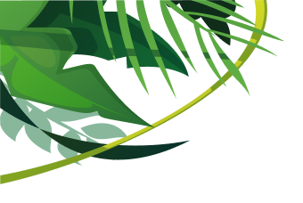 Leaf Left